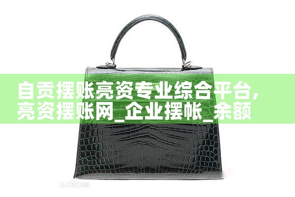 自贡摆账亮资专业综合平台