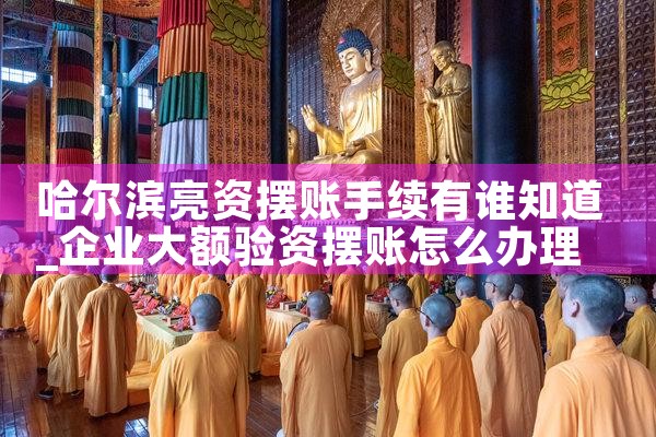 哈尔滨亮资摆账手续有谁知道