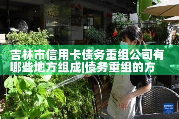 吉林市信用卡债务重组公司有哪些地方组成