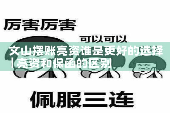 文山摆账亮资谁是更好的选择