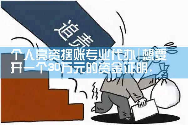 个人亮资摆账专业代办